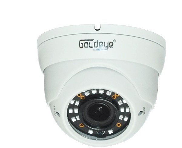 Camera IP Dome hồng ngoại 2.0 Megapixel Goldeye GE-NSD520