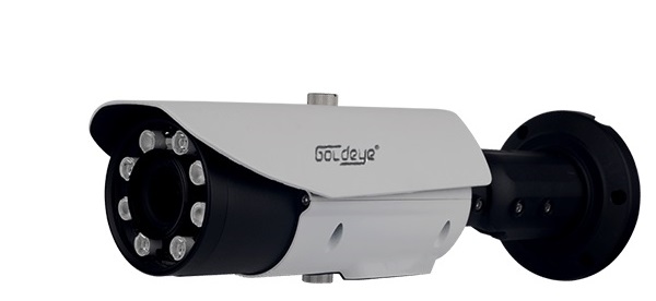 Camera IP hồng ngoại 2.0 Megapixel Goldeye GE-NWE620-W